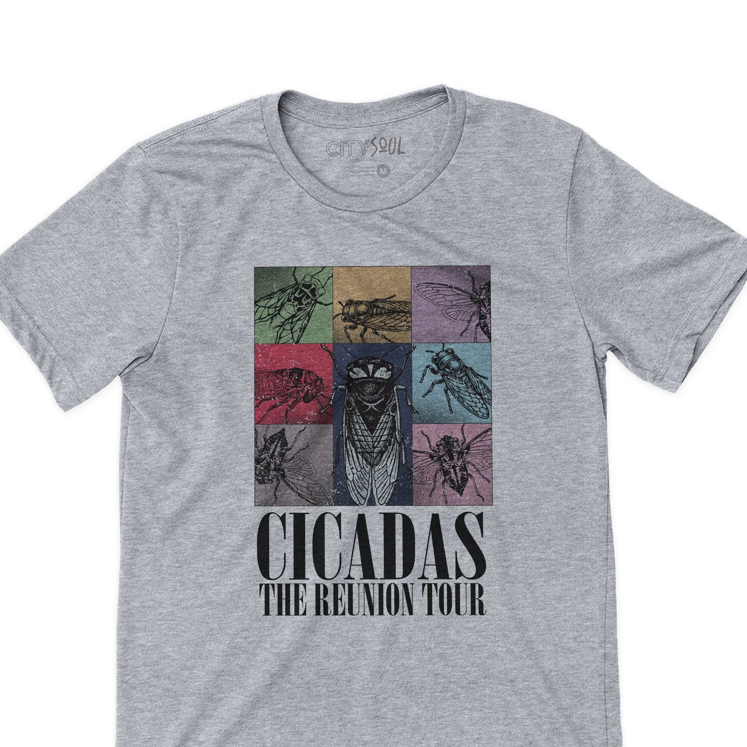 funny cicada concert eras reunion tee 2024 reunion tour cicada t-shirts taylor eras type concert cicada t-shirt band style cicada t-shirts